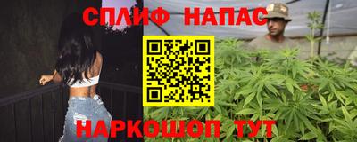 сатива Кулебаки