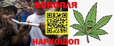 сатива Кулебаки