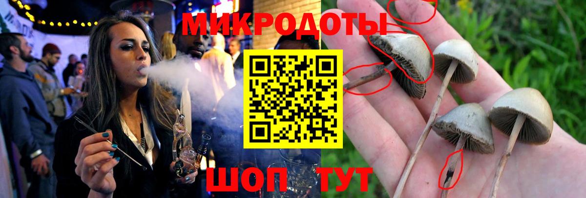 Галлюциногенные грибы мицелий Ковров